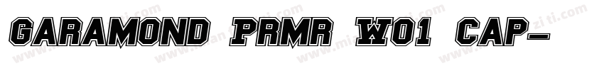 Garamond Prmr W01 Cap字体转换